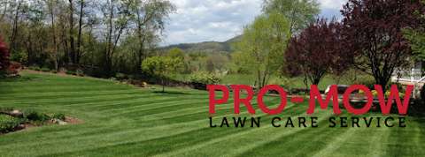 Jobs in Pro-Mow Lawn Care Service - reviews